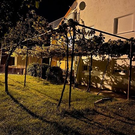Entire Spacious Apartment With Free Parking Podgorica Eksteriør billede